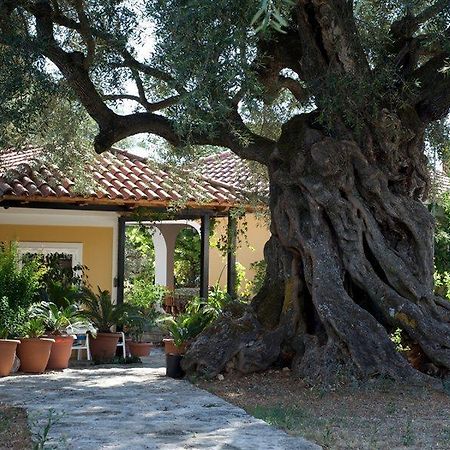Villa Christina 扎金索斯镇 外观 照片